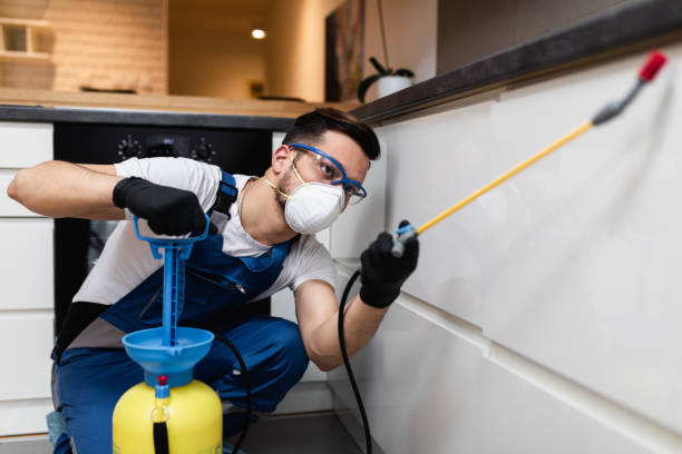 Best Emergency Pest Control  in Peebles, OH