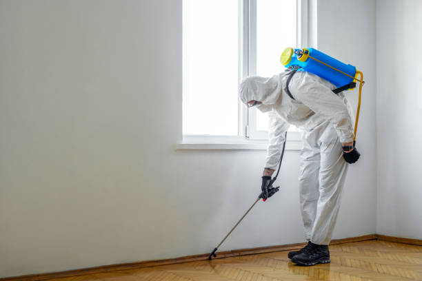 Best Local Pest Control Services  in Peebles, OH