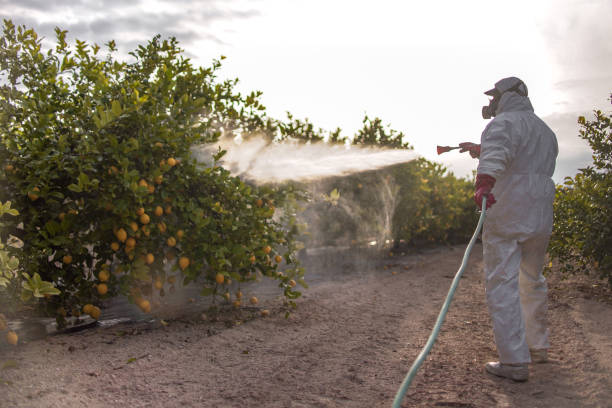 Best Cockroach Control Services  in Peebles, OH